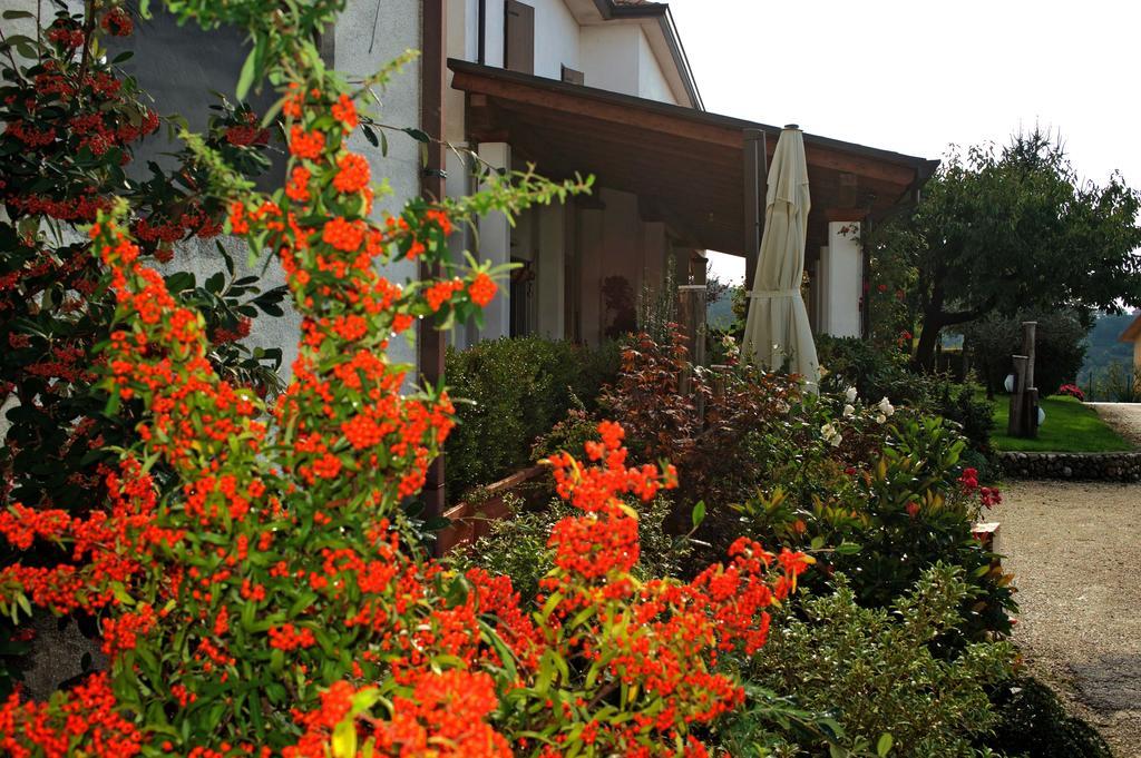 La Staccionata Villa Arpino Eksteriør bilde