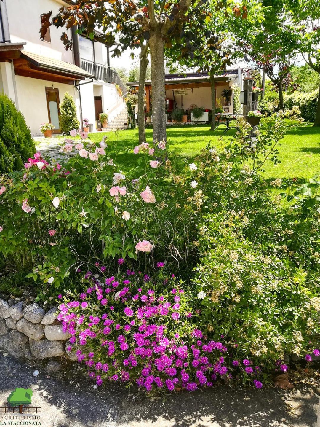 La Staccionata Villa Arpino Eksteriør bilde